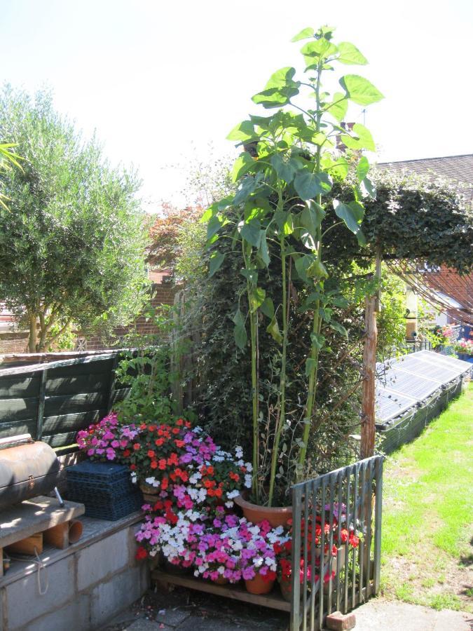 Perfect For Petersfield B&B Екстериор снимка